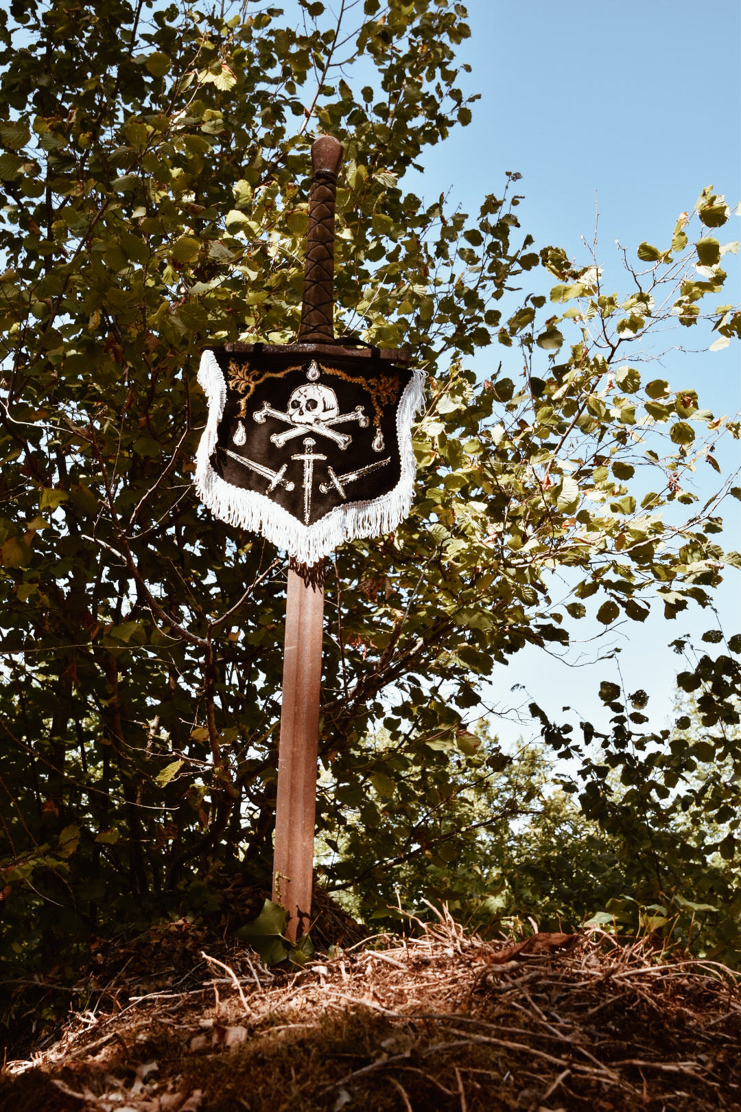 - ÉTENDARD FERRUM FERO FERRO FEROR -