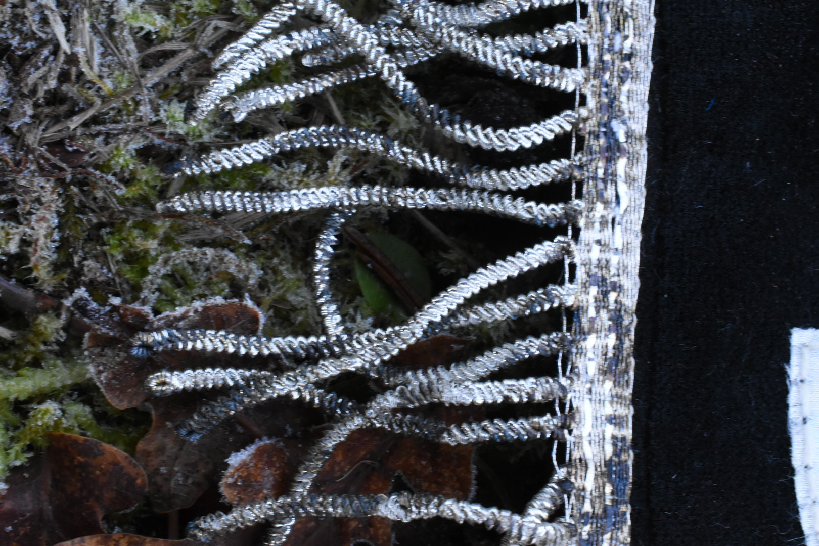 - ÉTENDARD UND DOCH -